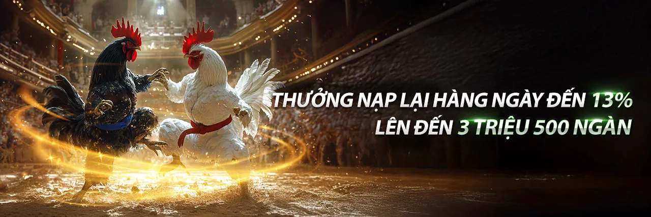 Đá Gà Thomo 1 2 2024 Trực Tiếp